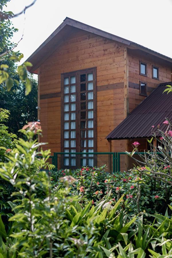 The Pine Loft Villa บังกาลอร์ ภายนอก รูปภาพ
